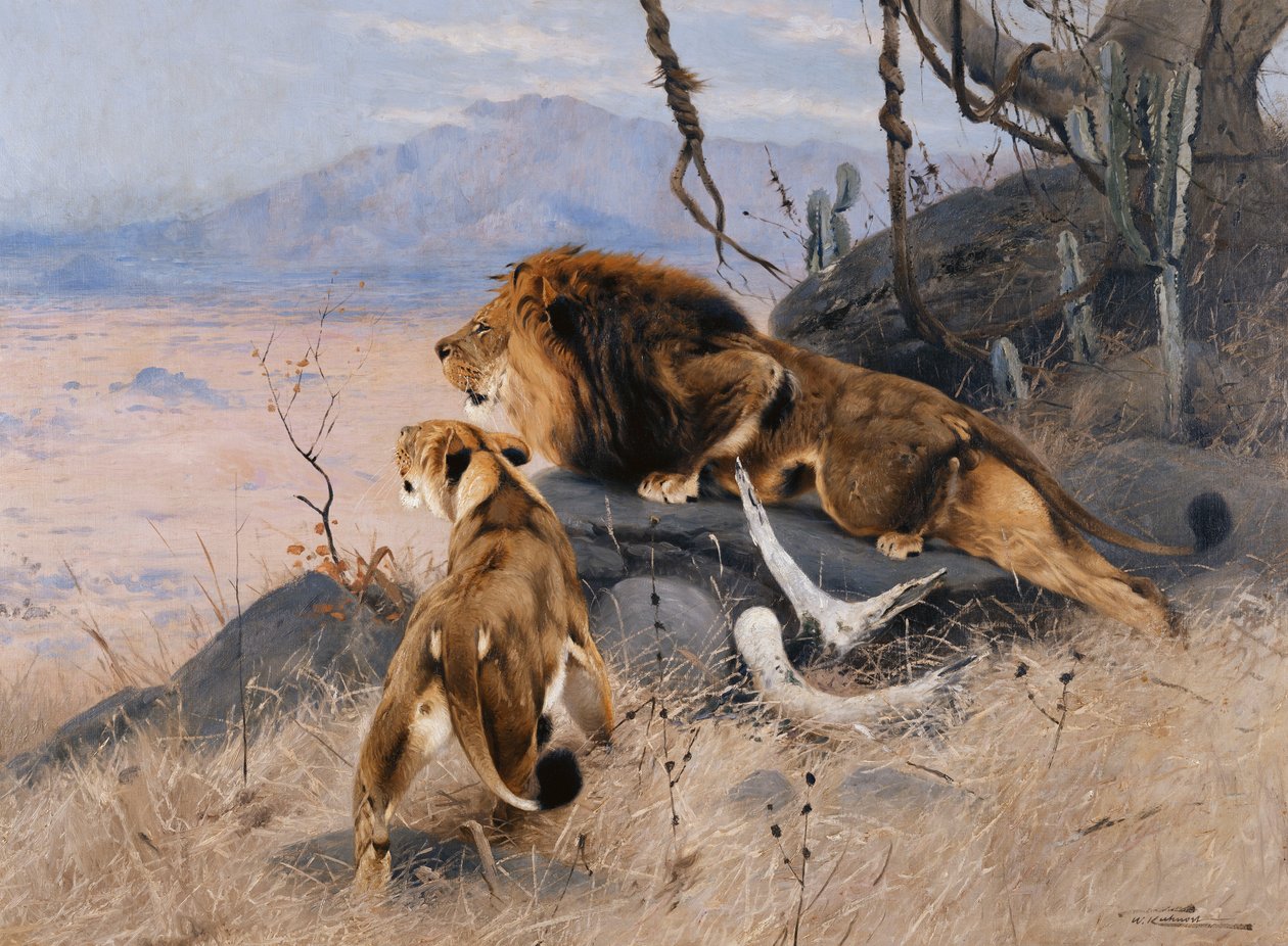 Lejon och Lejoninna; Lowe och Lowin, av Wilhelm Kuhnert