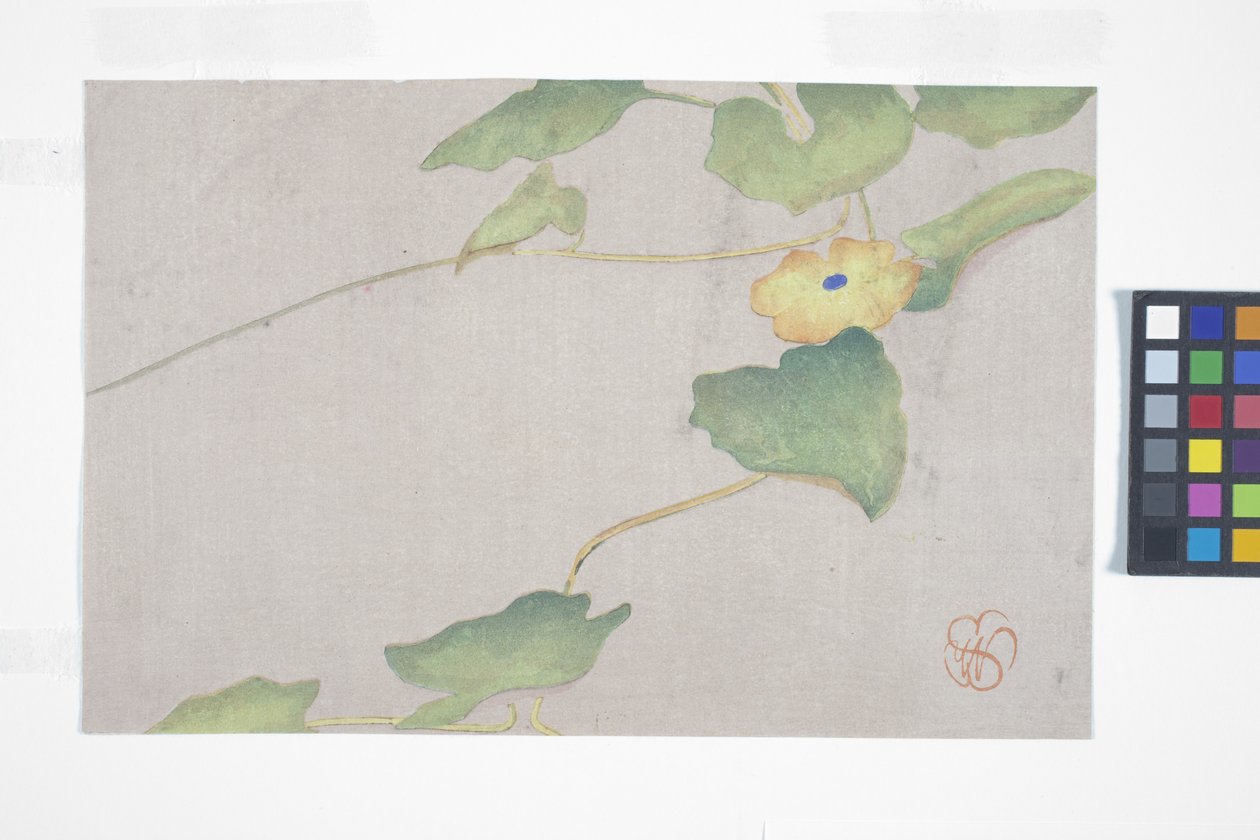 Flower Study, c.1908 (träblock i färg) av Wilhelmina Seegmiller