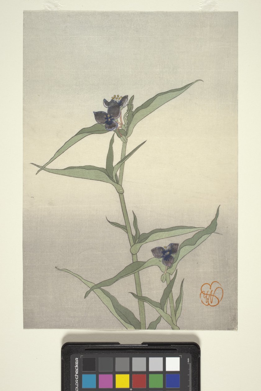 Flower Study, c.1908 (träblock i färg) av Wilhelmina Seegmiller