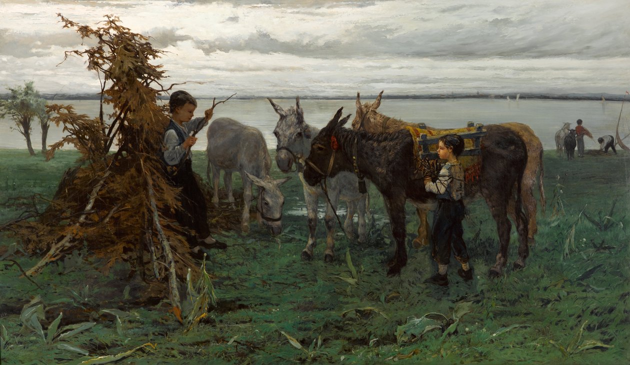Pojkar vallar åsnor av Willem Maris