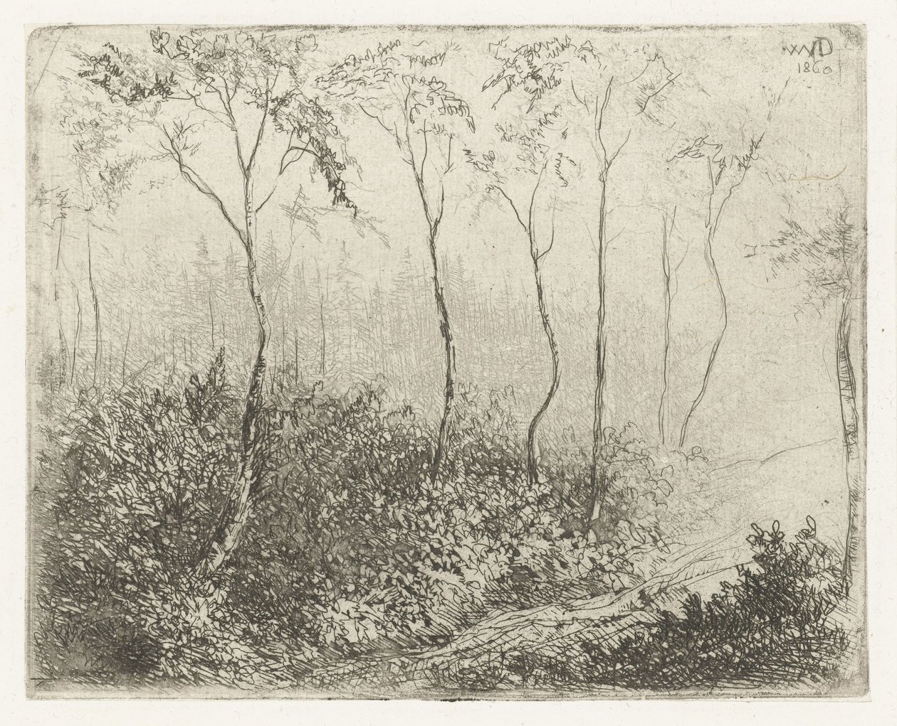 skogslandskap av Willem Matthias Jan van Dielen