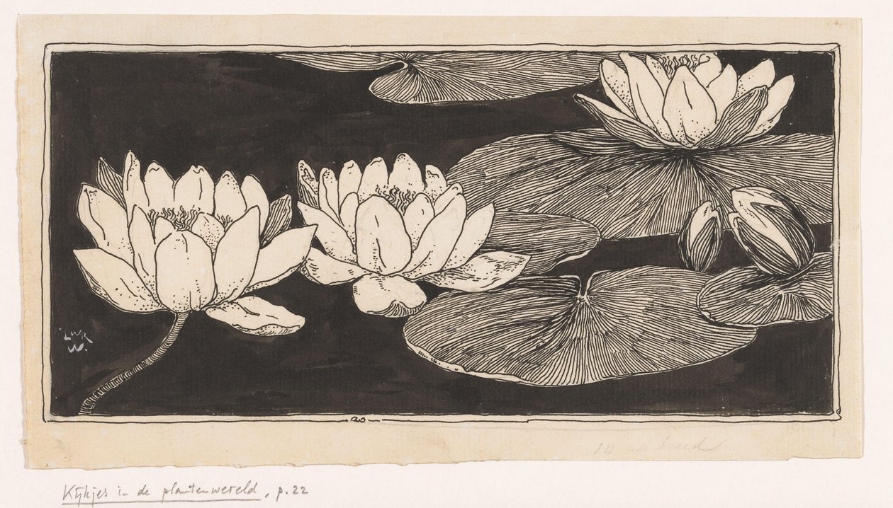 Näckrosor av Ludwig Willem Reymert Wenckebach