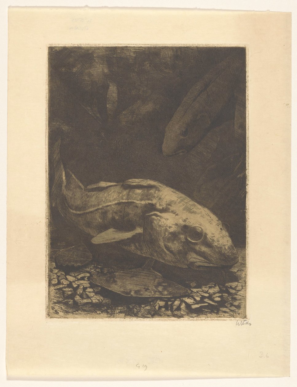 Fisk och vattenväxter av Willem Witsen (signed by artist)