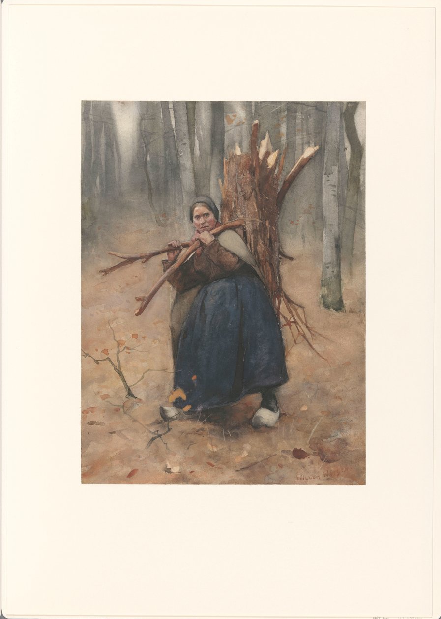 vedsamlare av Willem Arnoldus Witsen