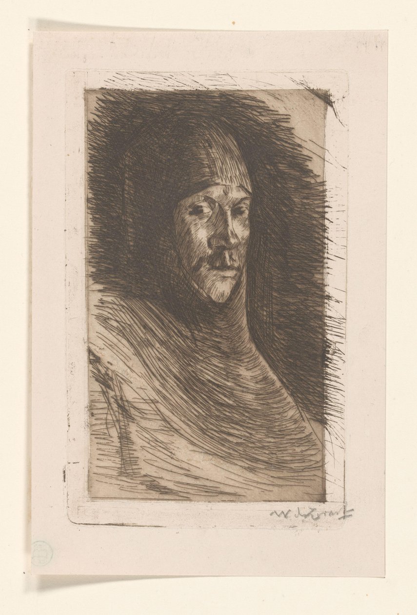 Man met maliënkolder (originaltitel) av Willem de Zwart