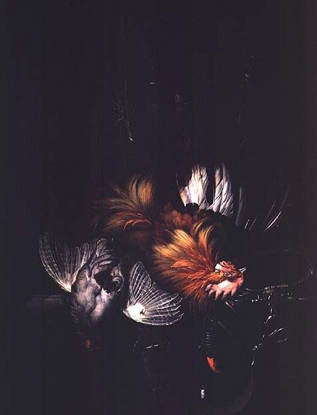 Okänd bild av Willem van Aelst