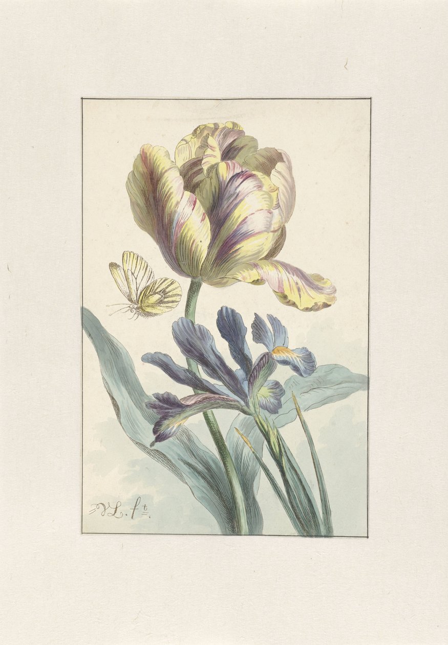 Tulpan och Iris av Willem van Leen