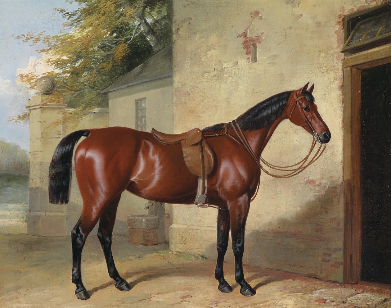 Gesattelter Brauner av William Barrand