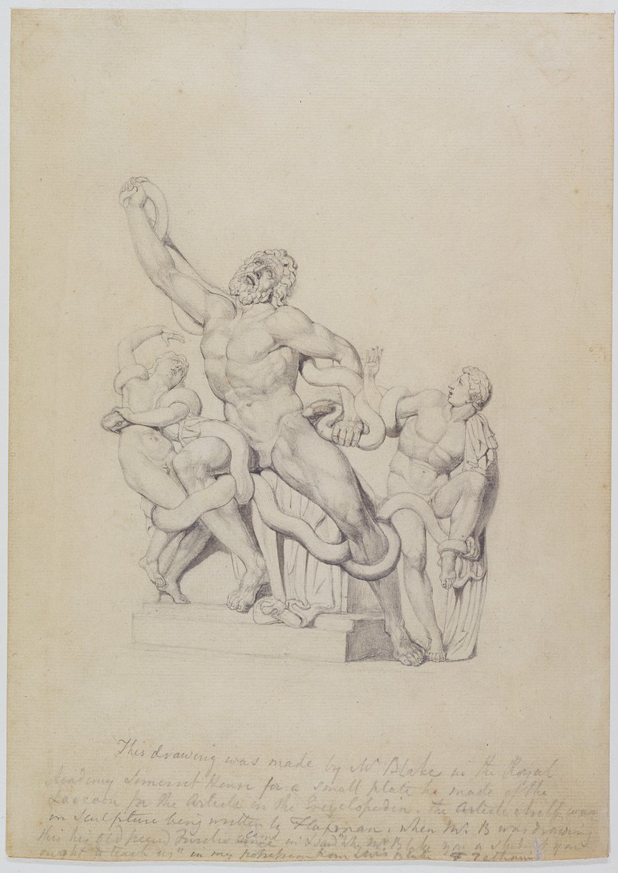 Kopia av Laocoon, för Rees