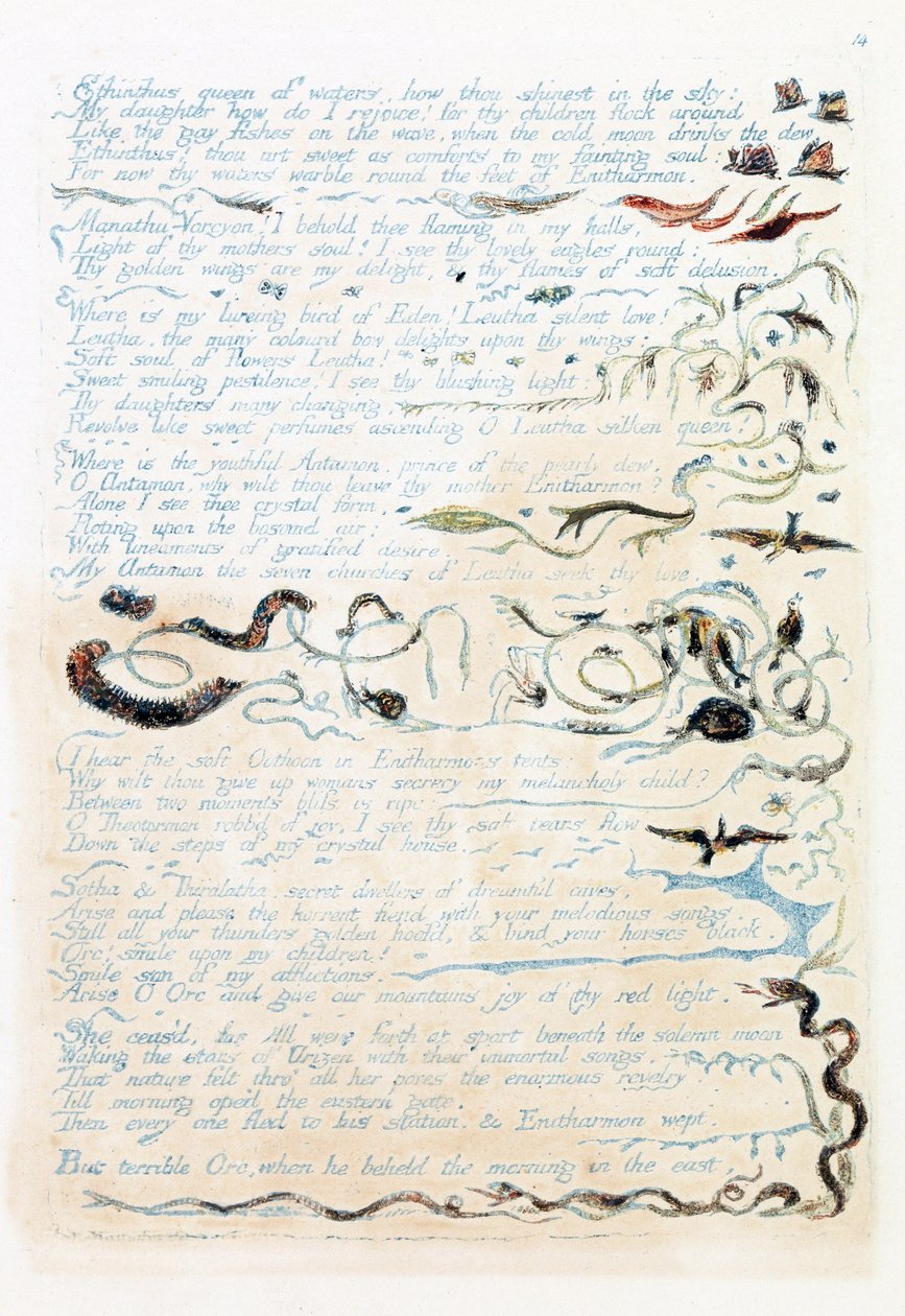 Illustration från 
