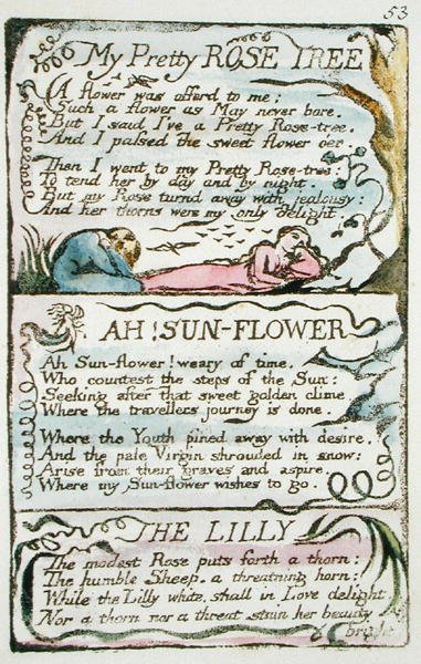 My Pretty Rose Tree, plåt 53 (Bentley 43) från The Songs of Innocence and of Experience (Bentley kopia L) 1789-94 (reliefetsning med penna & wc på papper) av William Blake