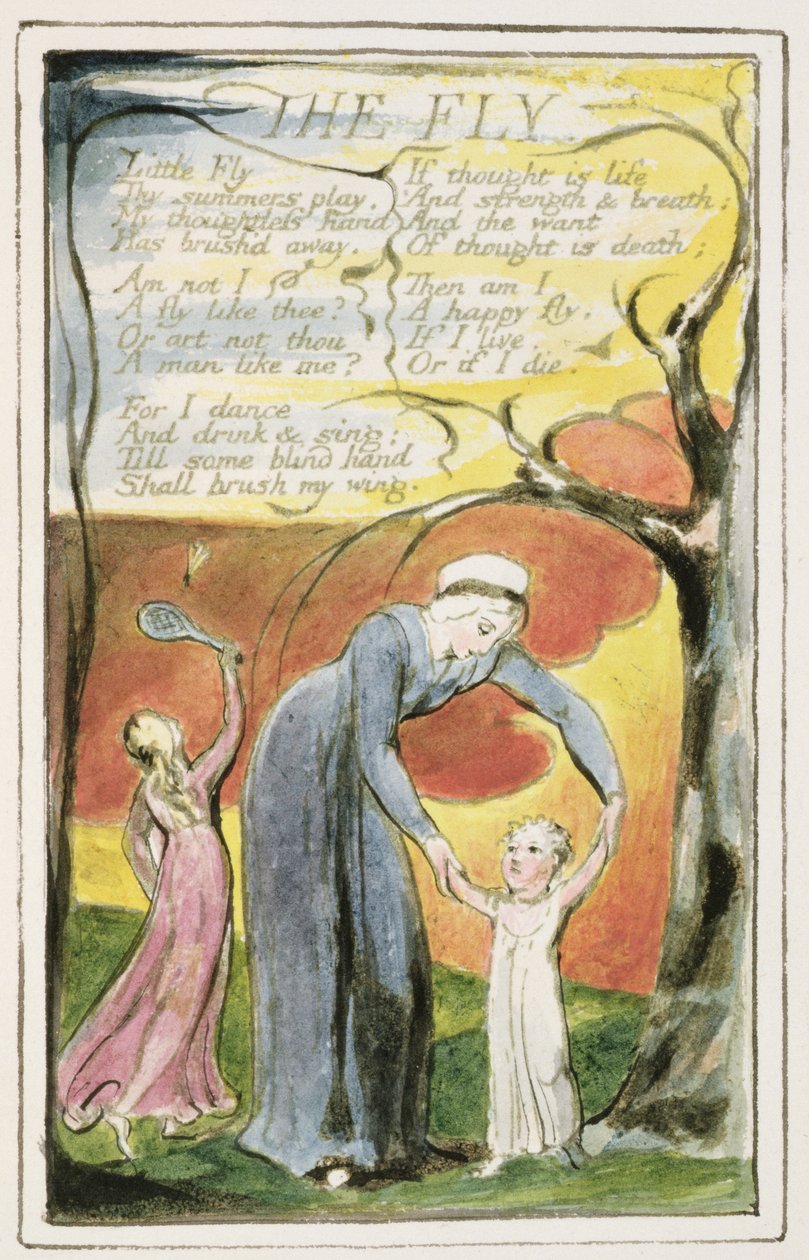 P.124-1950.pt41 Flugan: tavla 41 från "Songs of Innocence and of Experience" (kopia R) ca 1802-08 (etsning, bläck och vax) av William Blake