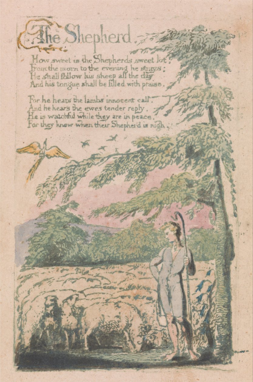 Songs of Innocence and of Experience, Plate 4, The Shepherd (Bentley 5) av William Blake