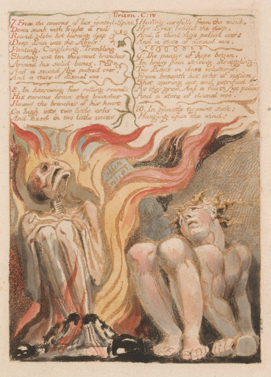 The First Book of Urizen, Plate 14, 7. From the Caverns of His Joeded Spine .... (Bentley 11) av William Blake