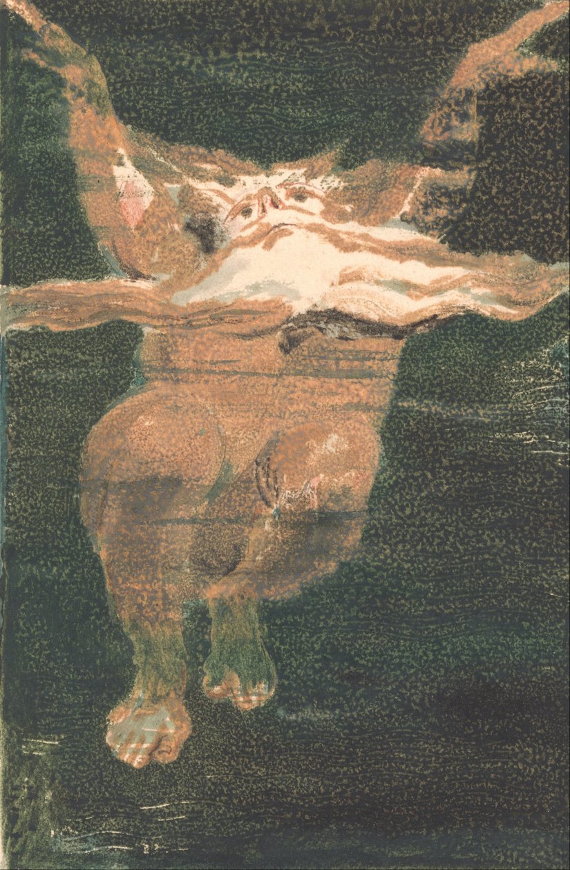 The First Book of Urizen, Plate 5 (Bentley 12) av William Blake