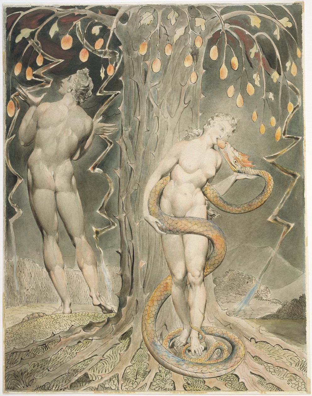 The Temptation and Fall of Eve Illustration to Miltons Paradise Lost  av William Blake