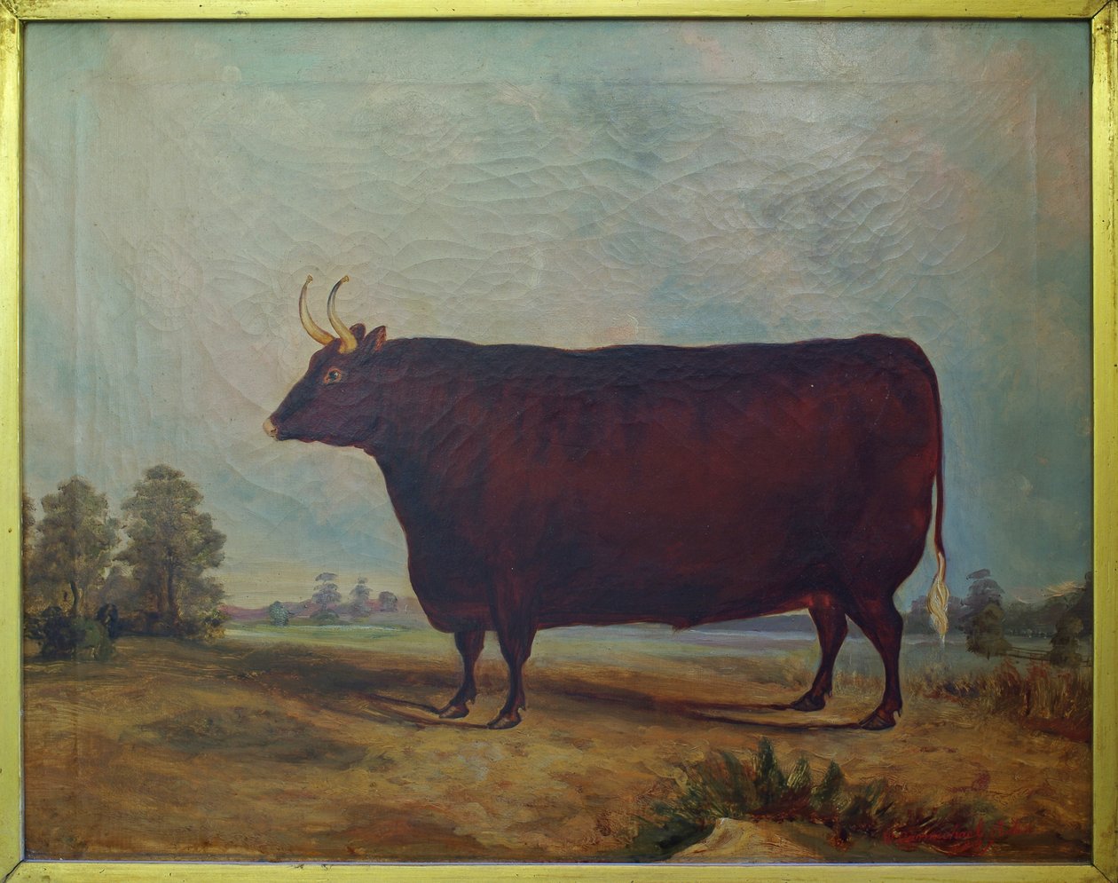 A North Devon Ox in a Landscape, 1837 av William Carmichael Baker