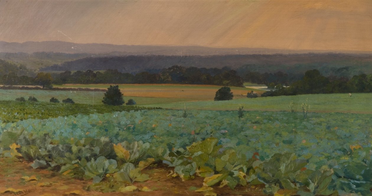 Rovafält av William Cosens Way