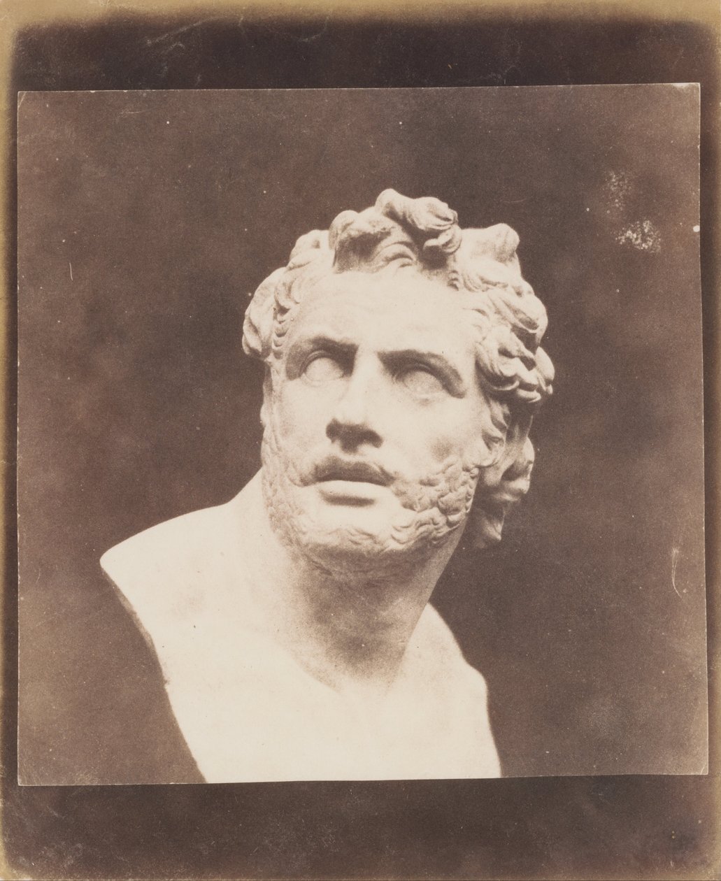 Bust of Patroclus. av William Henry Fox Talbot