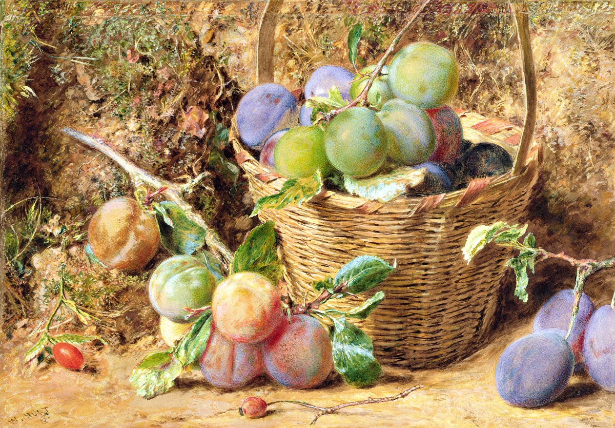 Plommon (wc) av William Henry Hunt