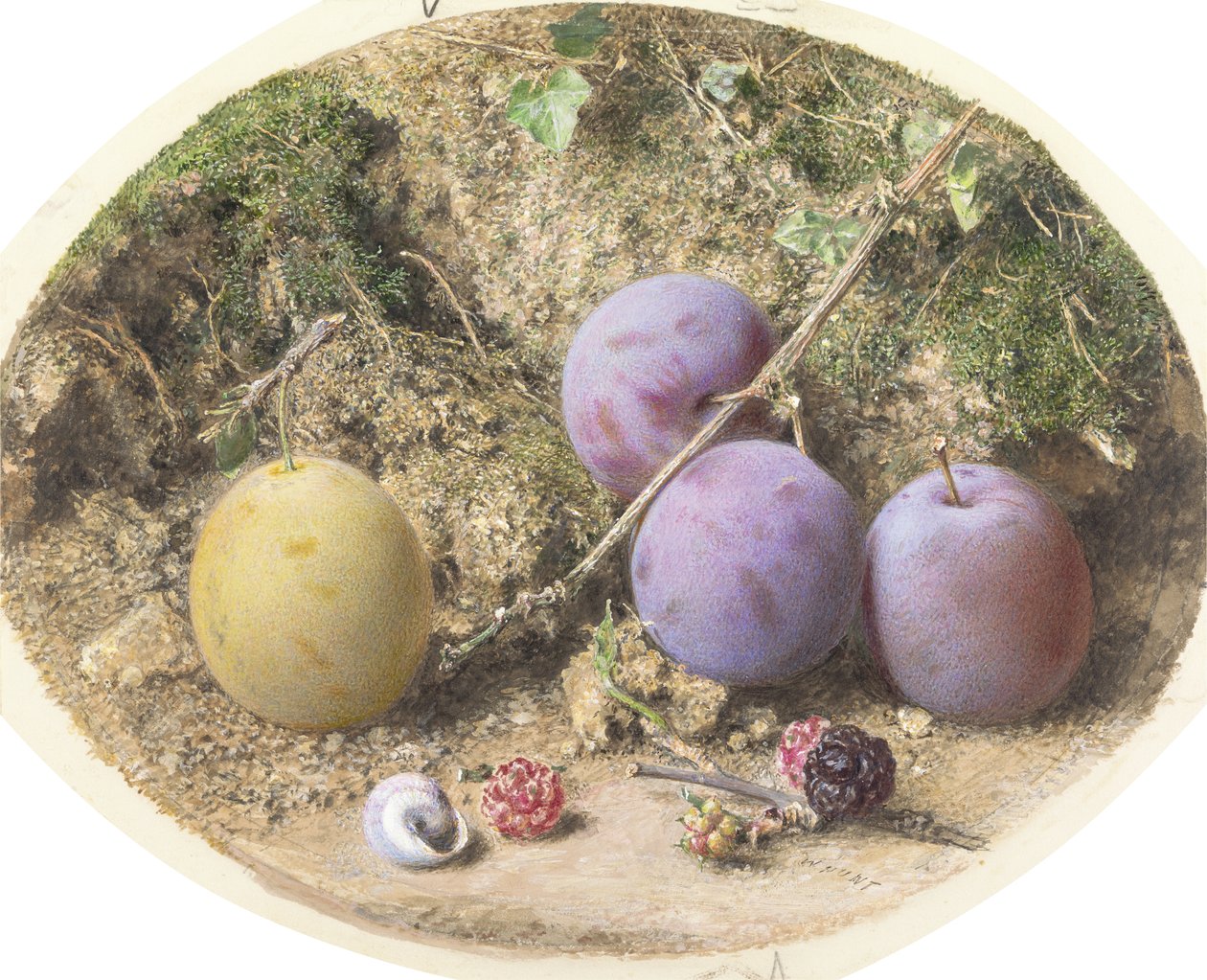 Plums and Mulberries, c.1860 (wc over graphite on card) av William Henry Hunt