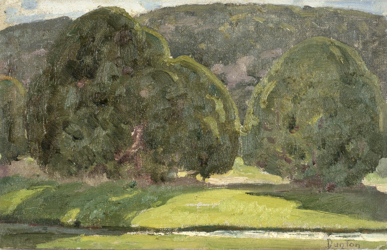 Sunlight and Cedars, c.1933 av William Herbert Buck Dunton
