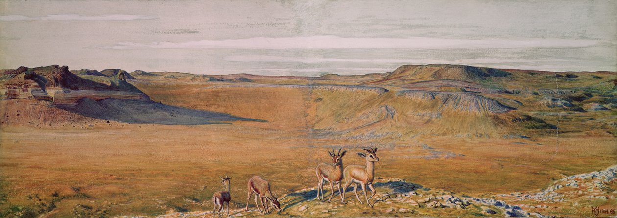 Gizehs vildmark, 1854 av William Holman Hunt