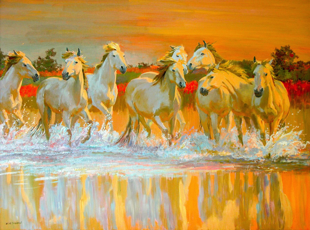 Camargue av William Ireland
