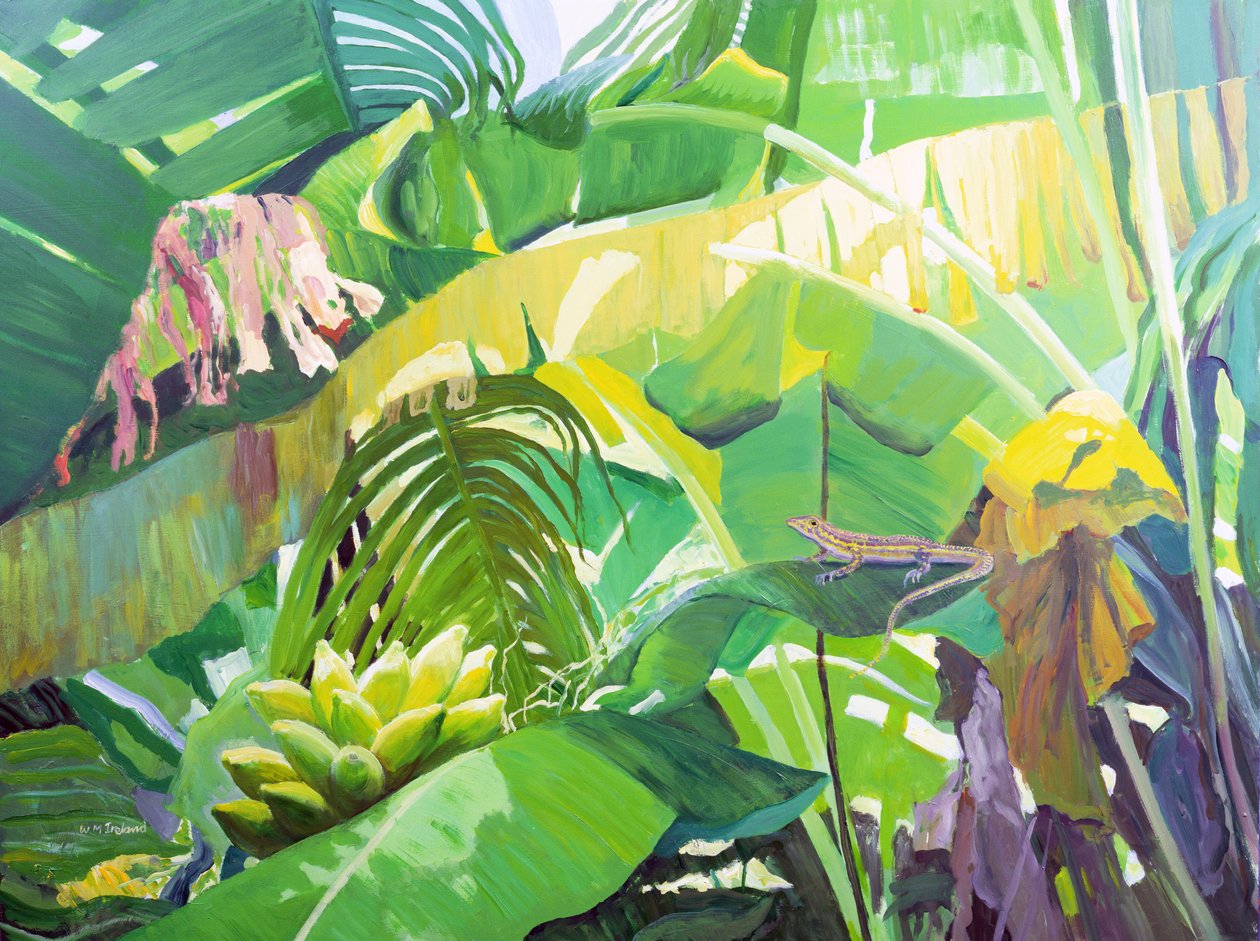 Gekko av William Ireland