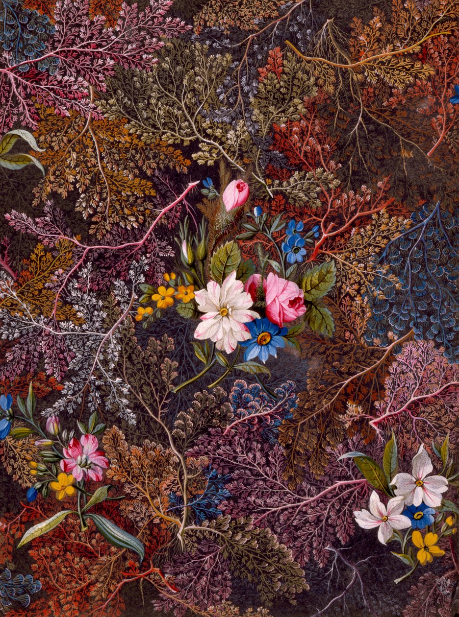 Textildesign, c.1788-92 av William Kilburn
