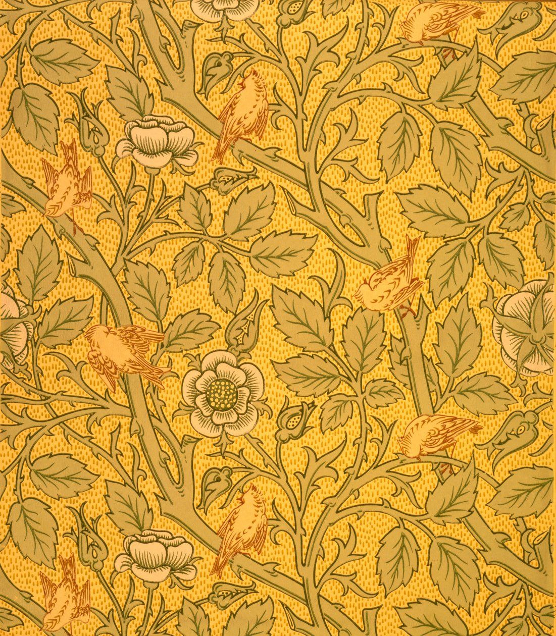Fågeltapetdesign (träblock i färg på papper) av William Morris