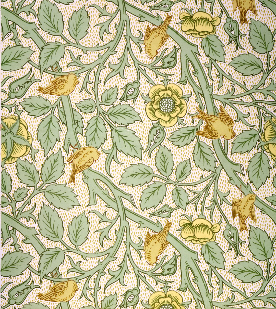 Fågeltapetdesign (träblock i färg på papper) av William Morris