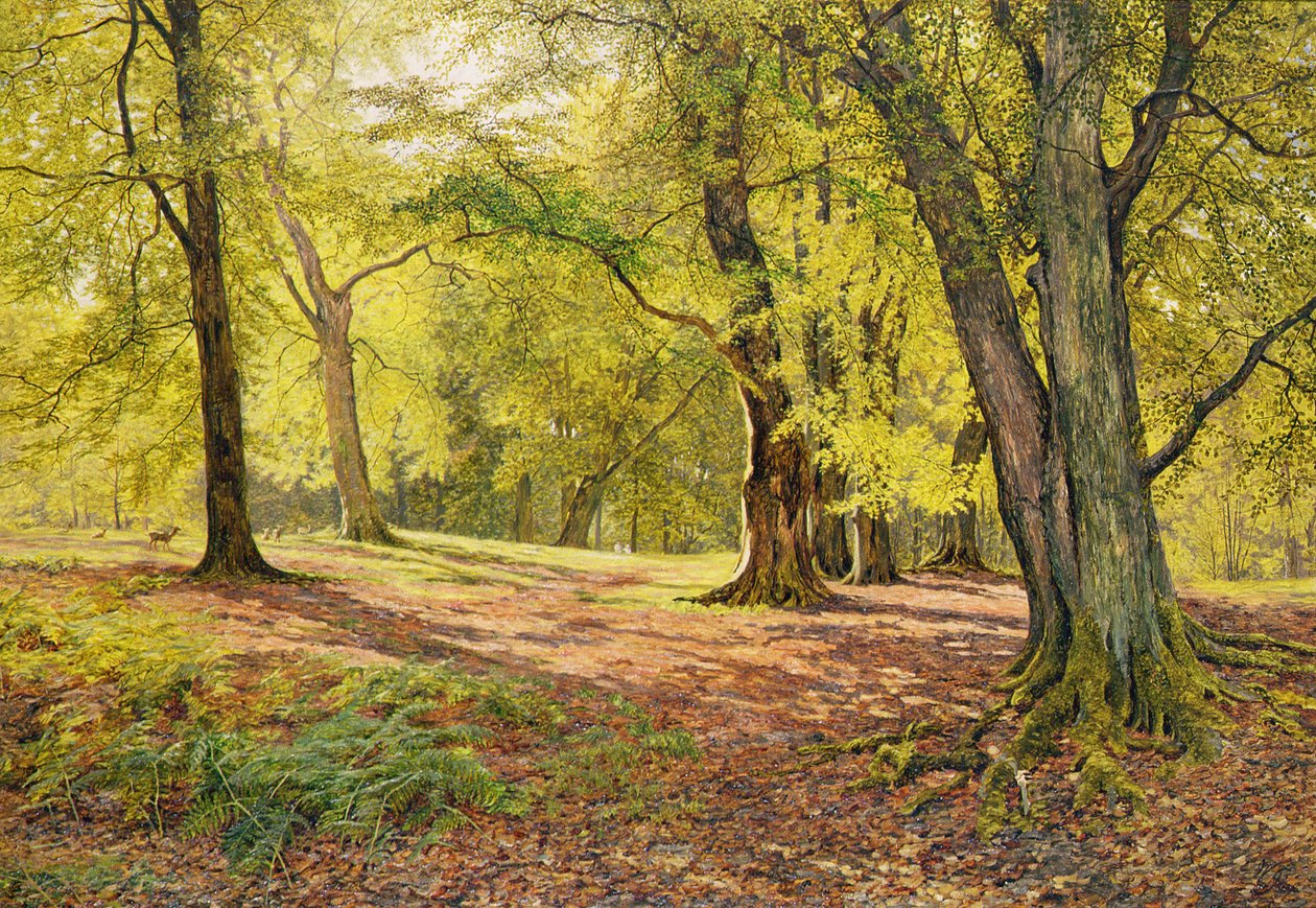 I bokskogen av William Samuel Jay