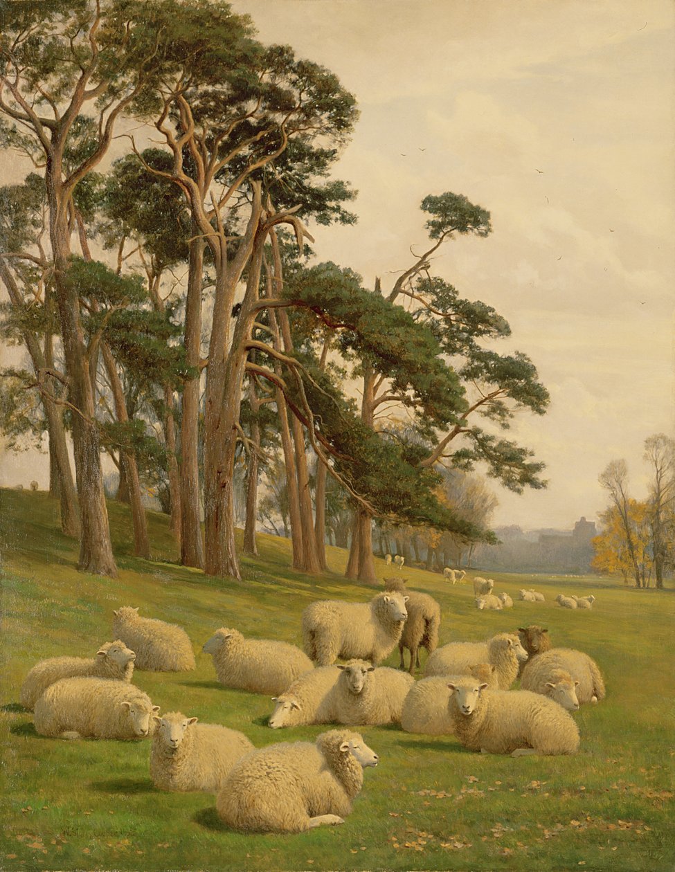 Solbelysta betesmarker av William Sidney Cooper