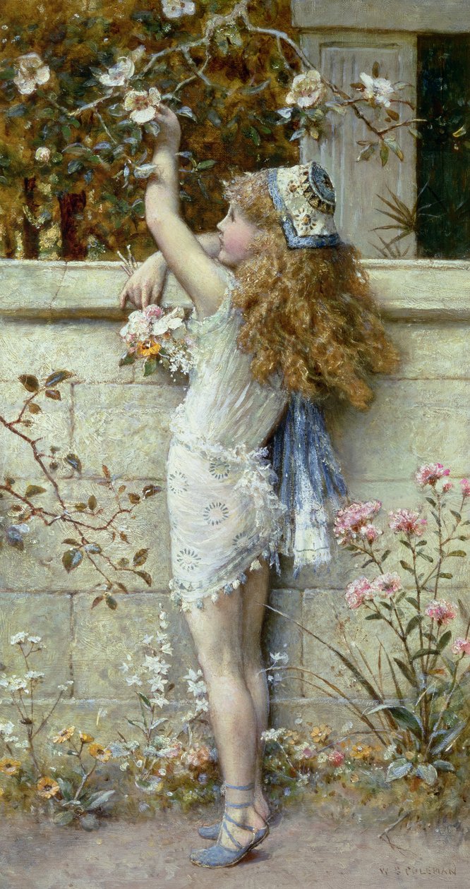 Samla blommor (olja) av William Stephen Coleman