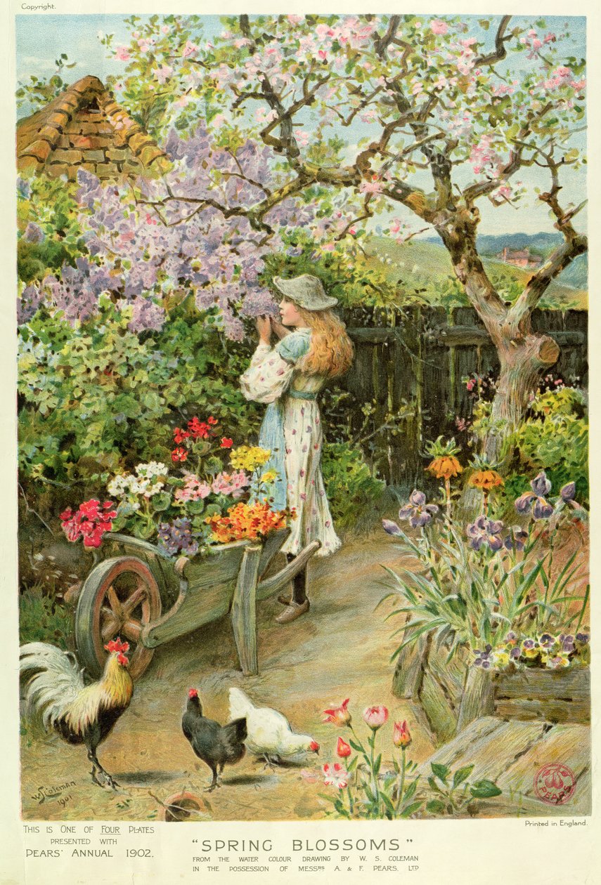 Spring Blossoms, från Pears Annual, 1902 av William Stephen Coleman