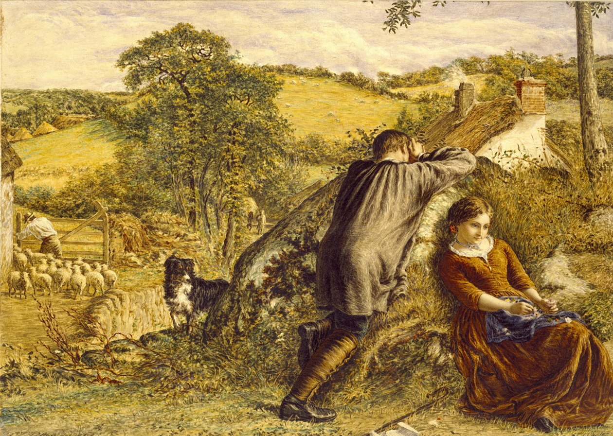Shepherd