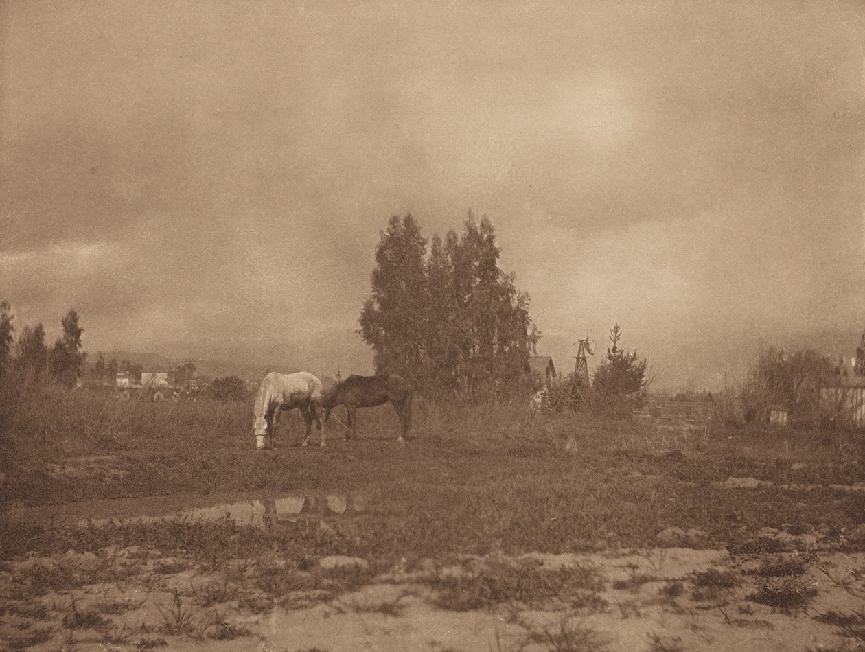 Pasadena landskap, 1899. av William B Post