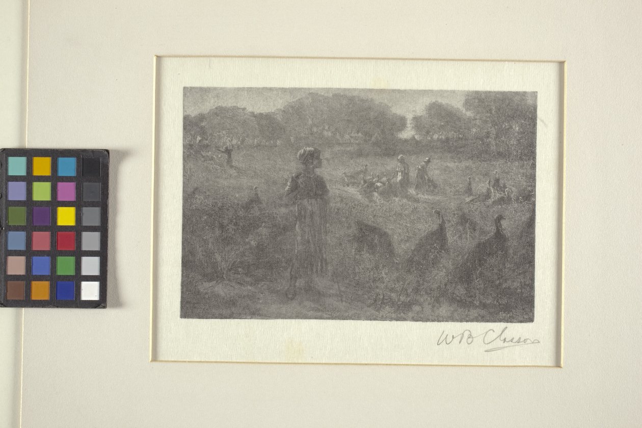 The Turkey Pasture (trägravyr) av William Baxter Palmer Closson