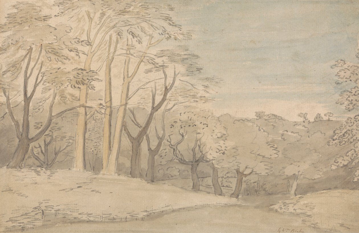 Ett träigt landskap av William Blake