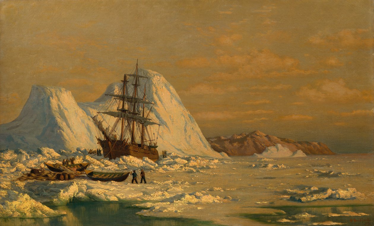 En incident av valfångst. av William Bradford