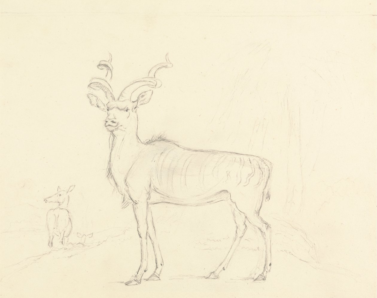 Koodoo av William Daniell