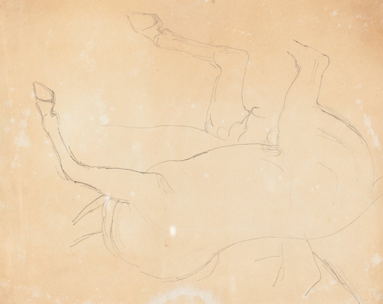 Studie av en häst [verso] av William Etty