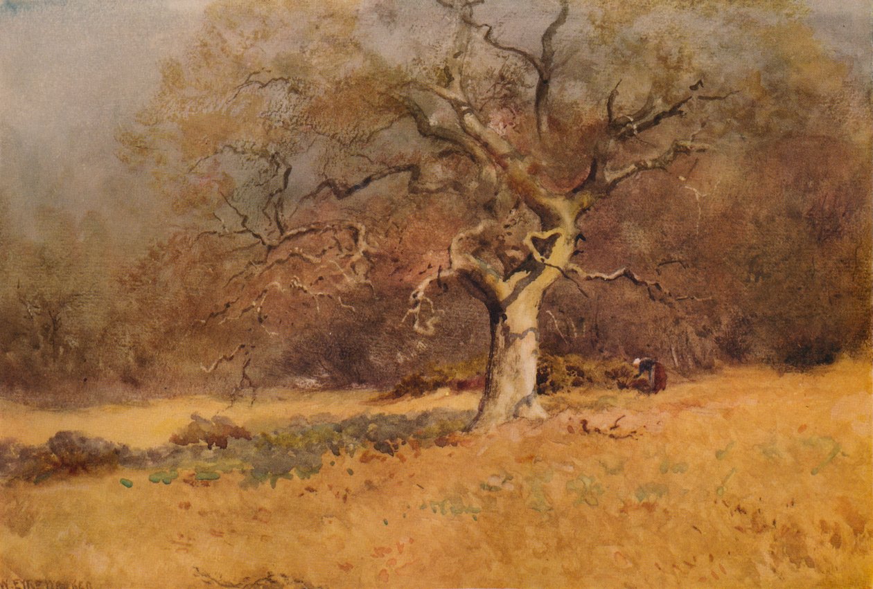 Winter Woods, c1916, 1938 av William Eyre Walker
