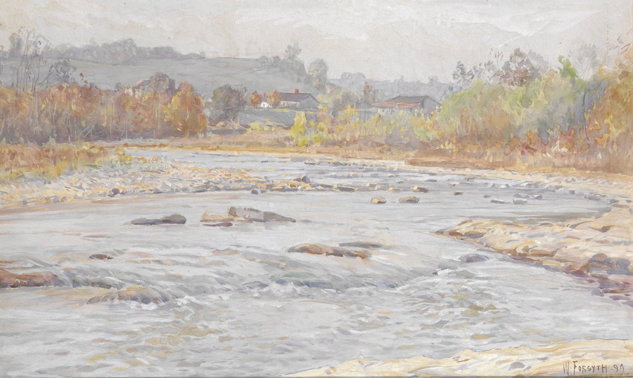 Whitewater Rapids av William Forsyth
