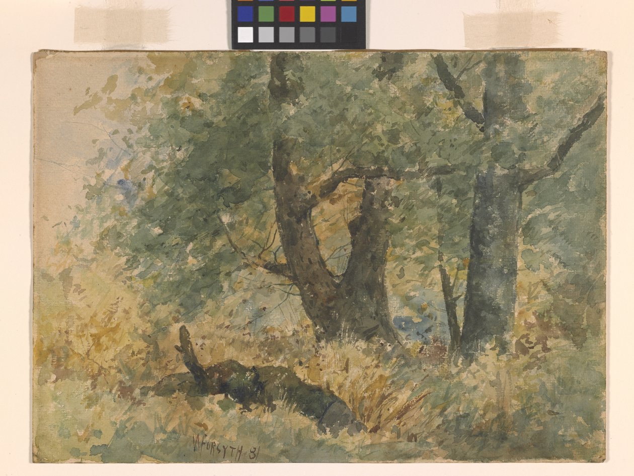 Skogslandskap (akvarell) av William Forsyth