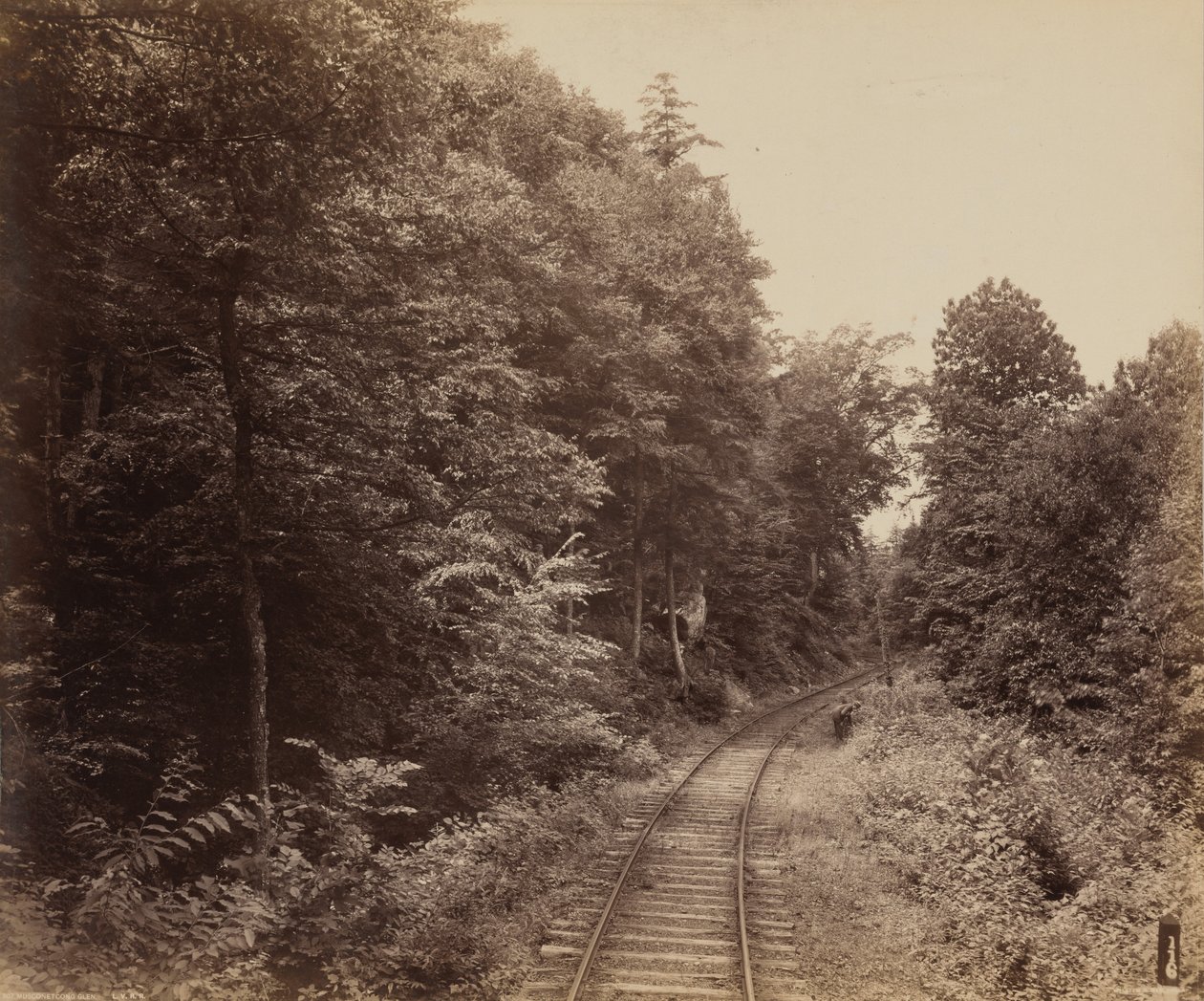 Musconetcong Glen av William H. Rau