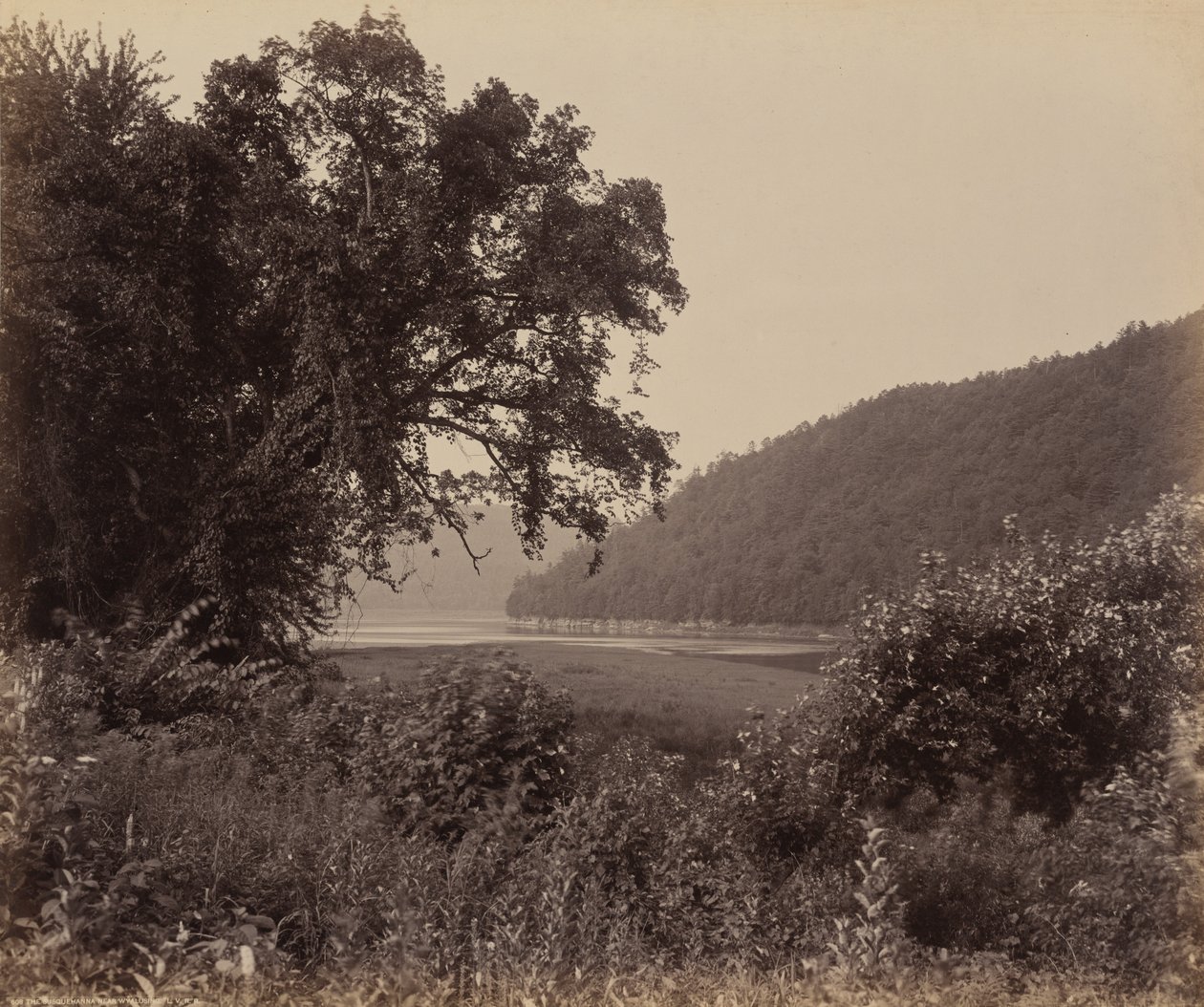Susquehanna nära Wyalusing av William H. Rau