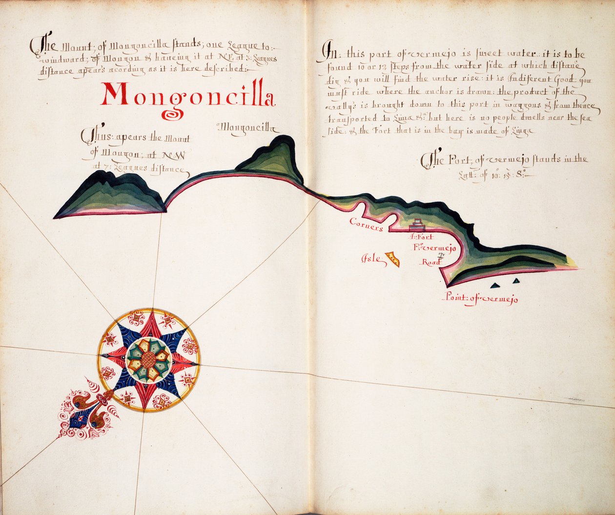 Mongoncilla av William Hack