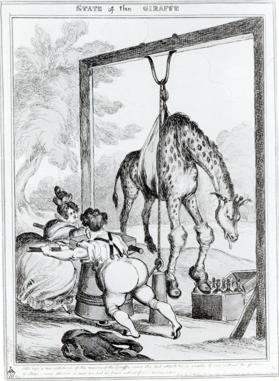 Giraffens tillstånd, 1829 av William Heath